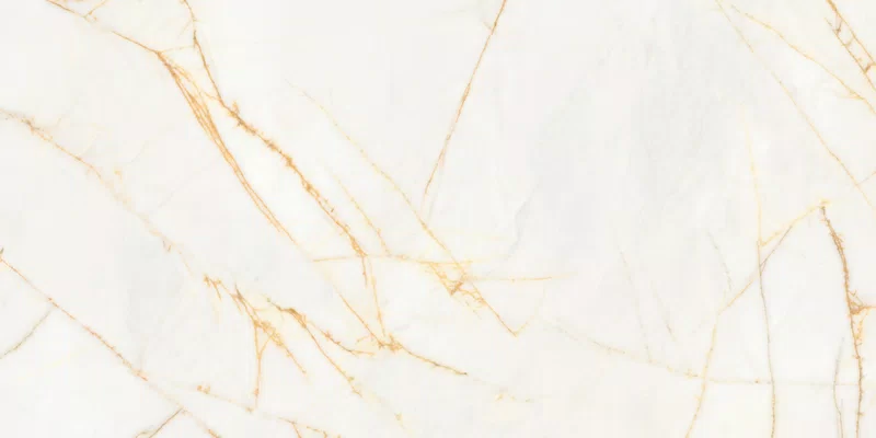 SUPREME HEDONISM GOLDEN SPIDER 60X120_14