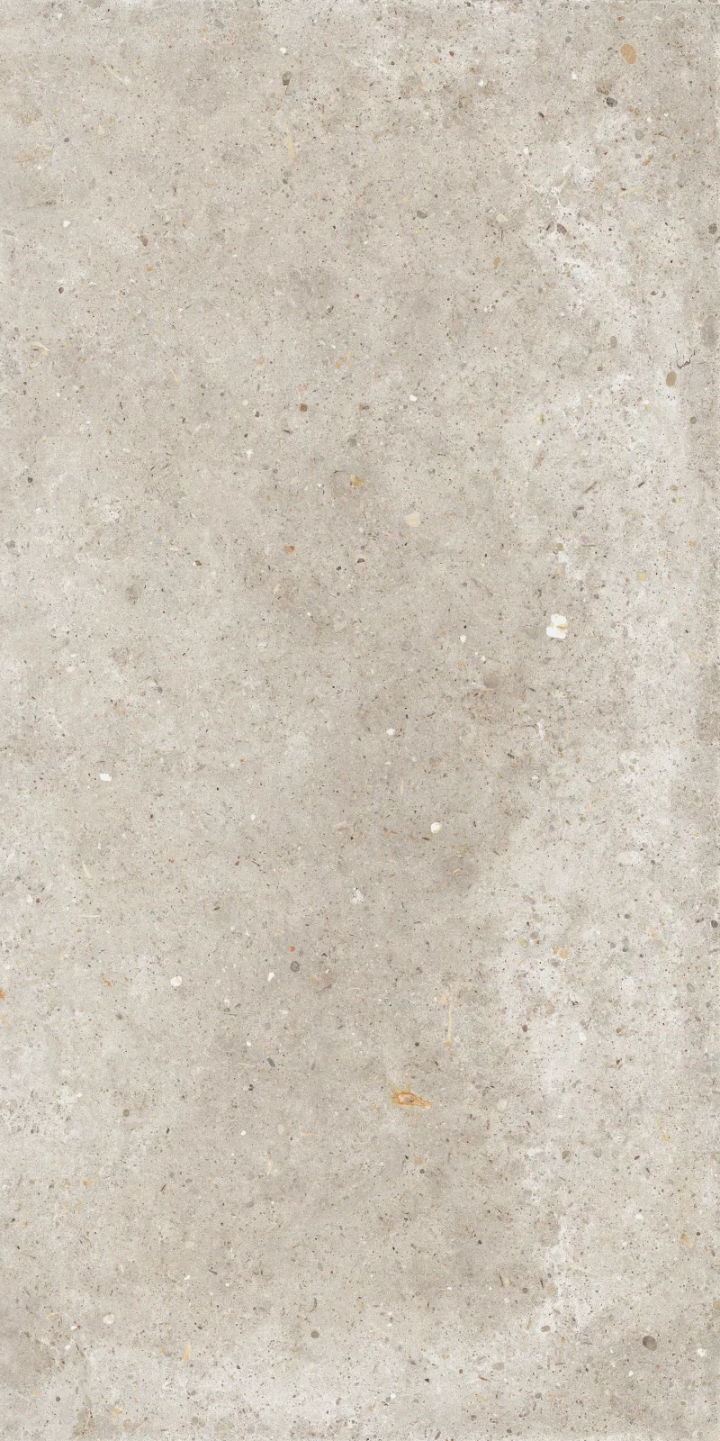 ANIMA BEIGE 60X120_06