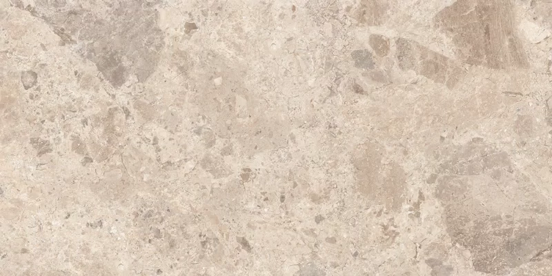 ERA BLOOMING TAUPE 60X120_04