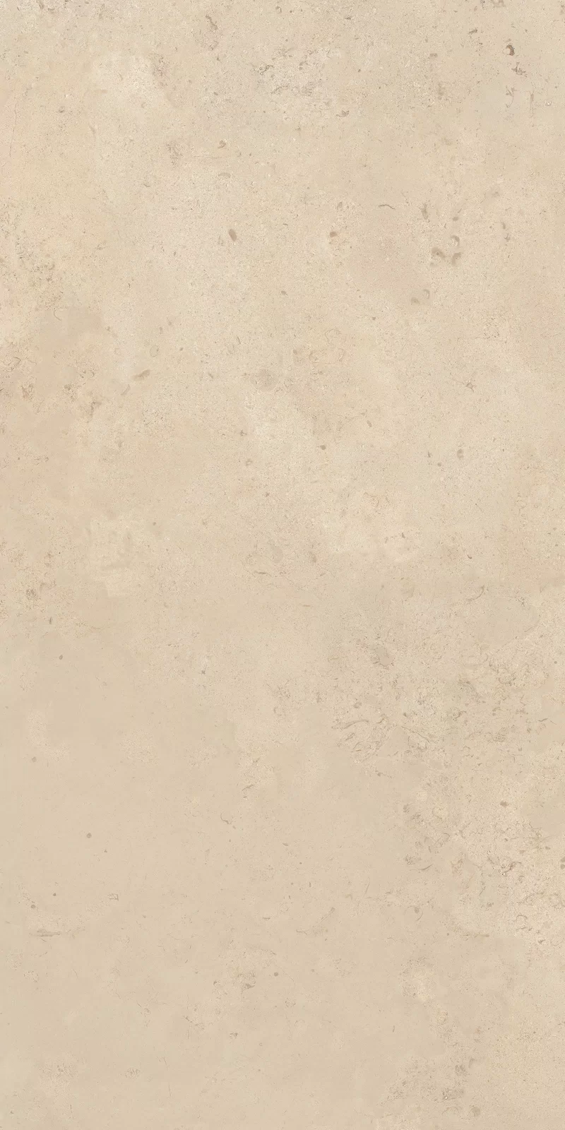 OUT.20 CAMARGUE BEIGE 60X120_13