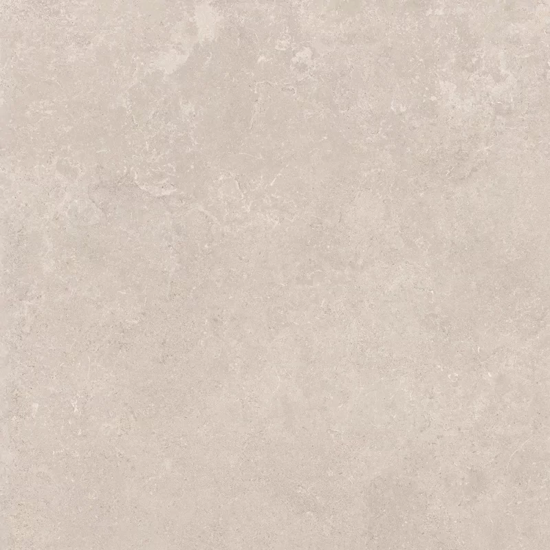 MIDI NATURE POUDRE 60x60_4