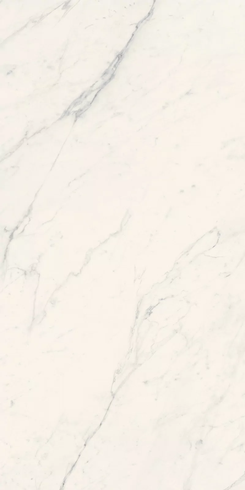 LA MARMOTECA_SAHARA WHITE_60X120_11
