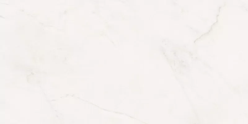 SENSI WHITE RHINO 60X120_02