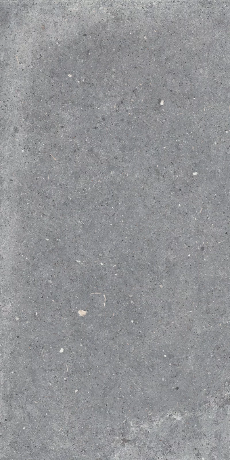 X20 ANIMA GRIGIO 60x120_05