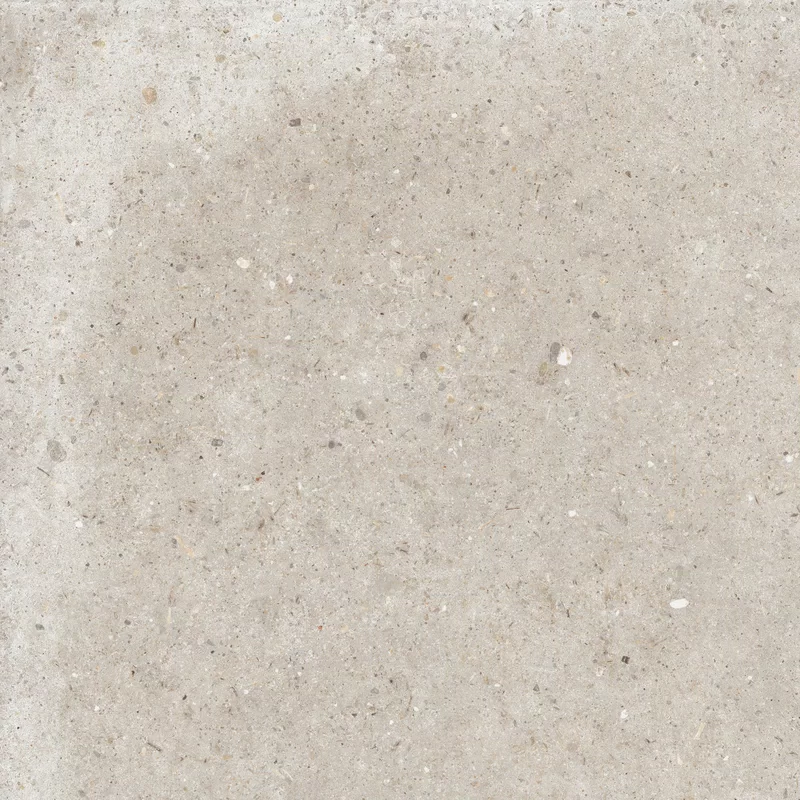 ANIMA BEIGE 60X60_14