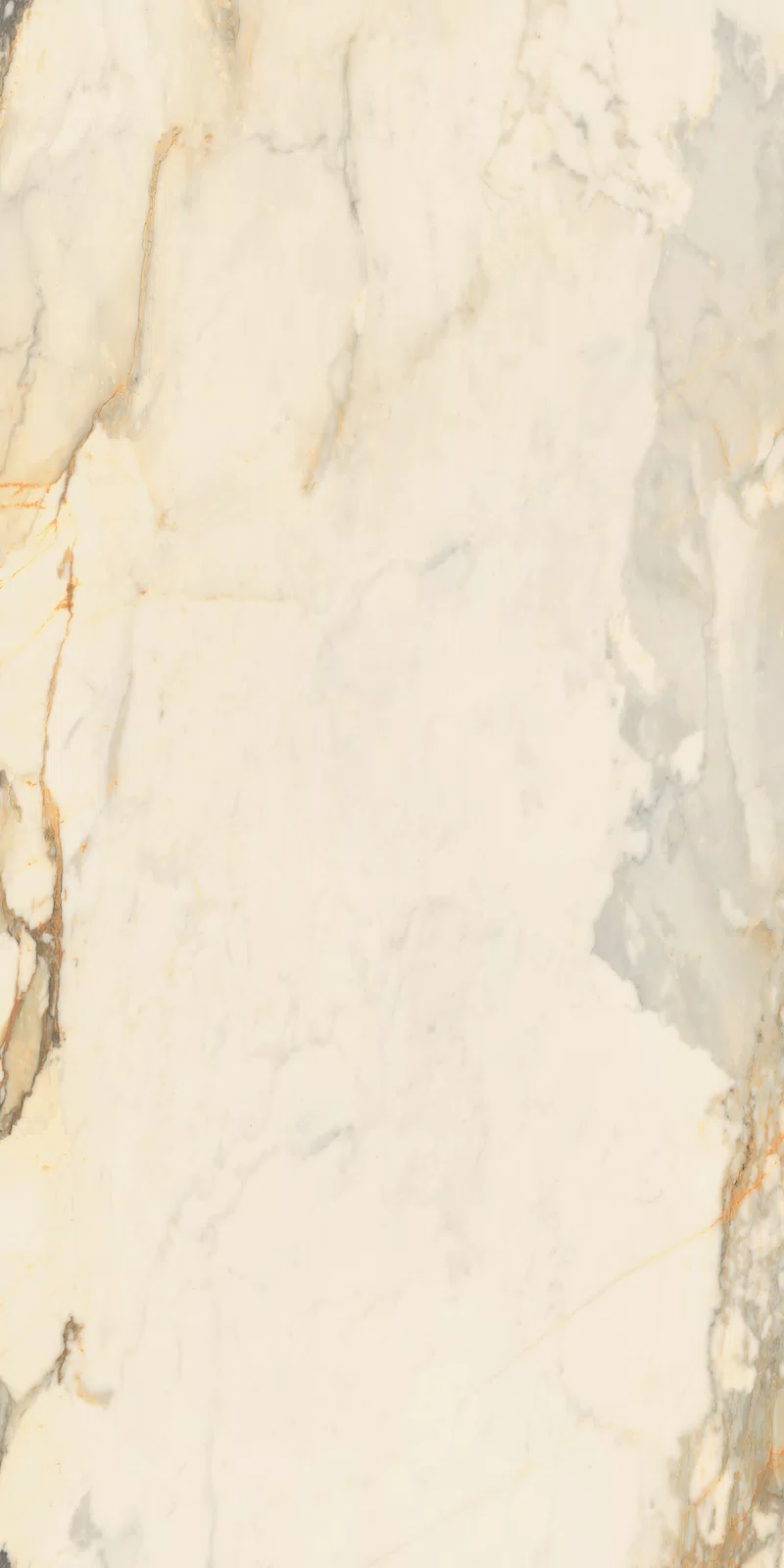 LA MARMOTECA_ANTIQUE BROWN_60x120_12