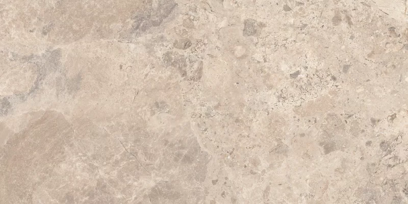 ERA BLOOMING TAUPE 60X120_12