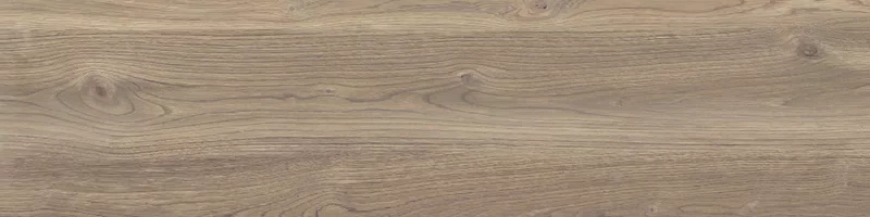 POETRY WOOD OAK 30X120_09