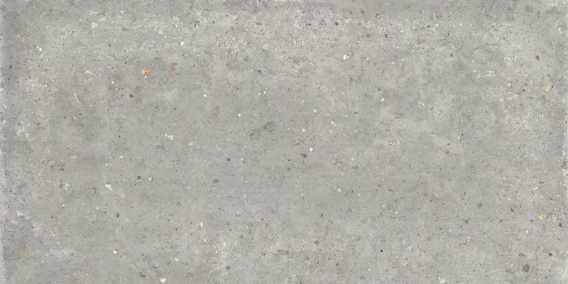 ANIMA GRIGIO 60X120_09