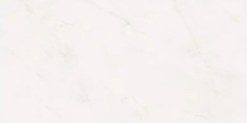 SENSI WHITE RHINO 60X120_11
