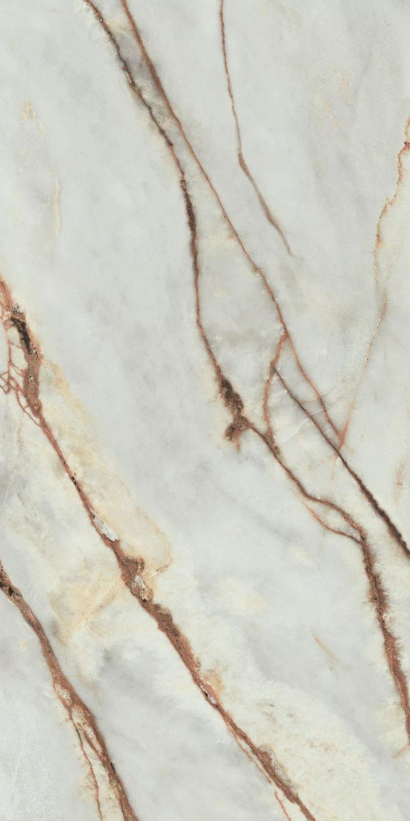 LA MARMOTECA_GREY WONDER 60X120_8