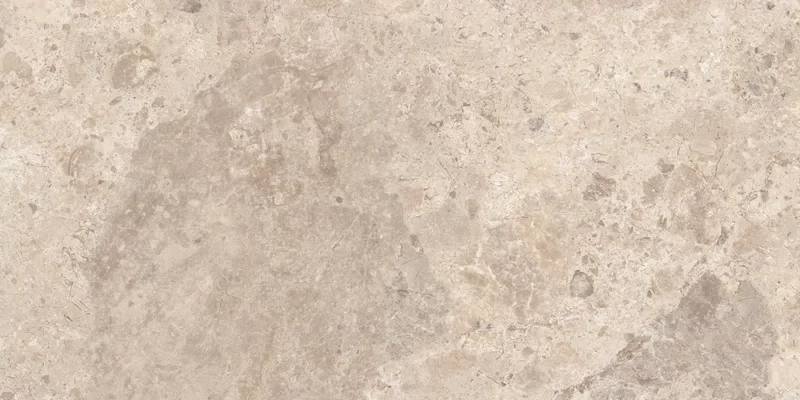 ERA BLOOMING TAUPE 60X120_14