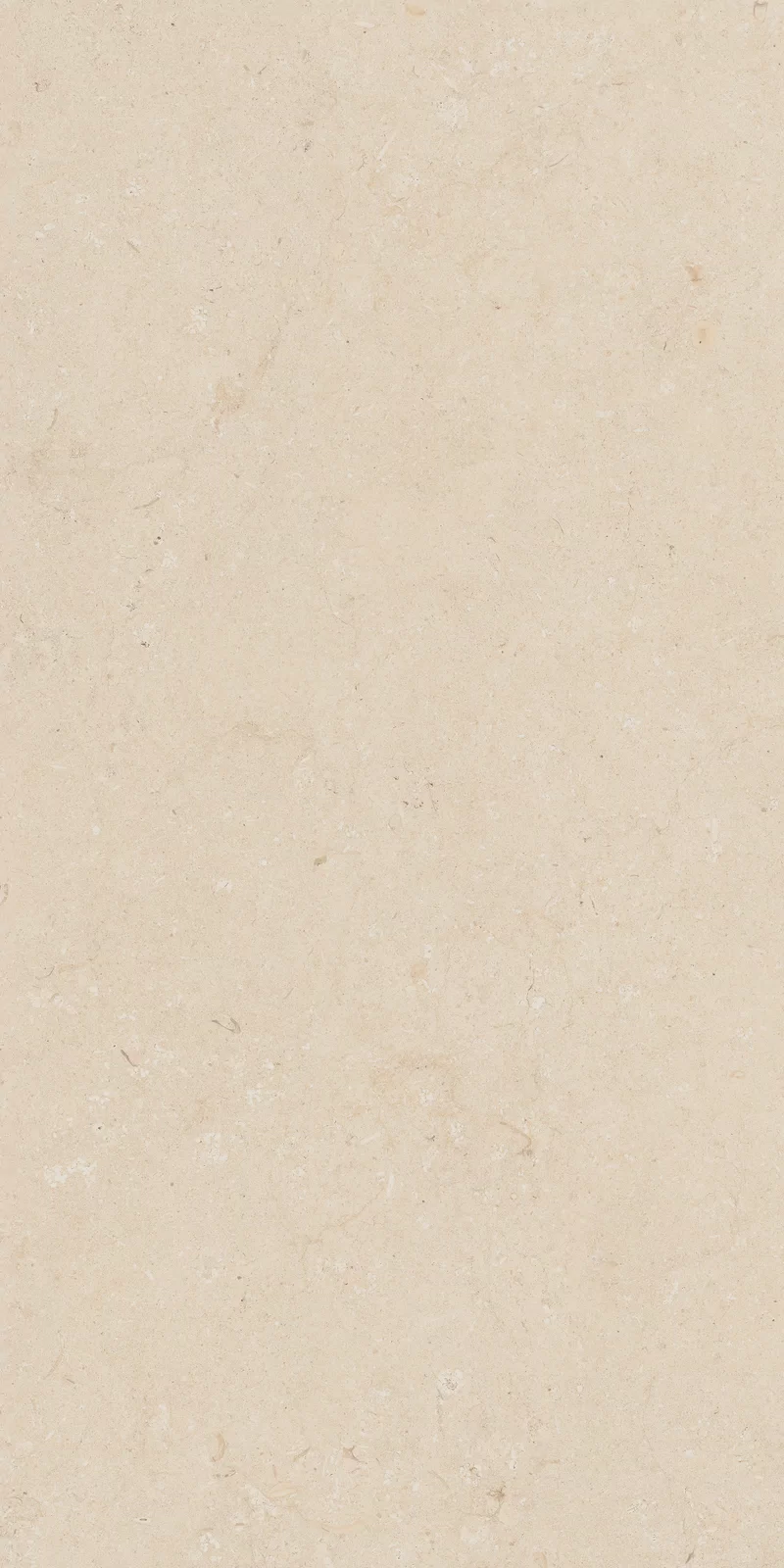 OUT.20 POETRY STONE TRANI BEIGE 60x120_04