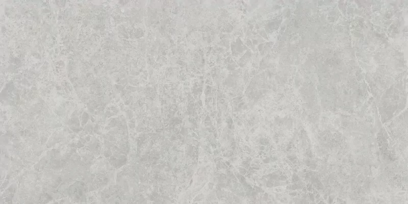 ERA DELICATE ASH 60X120_04