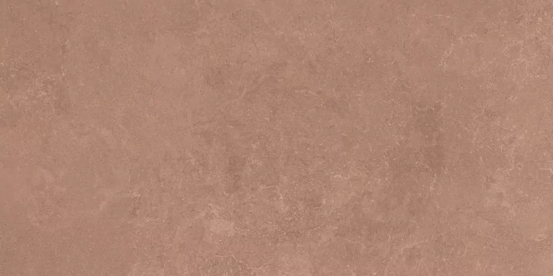 MIDI NATURE TERRE 60X120_17