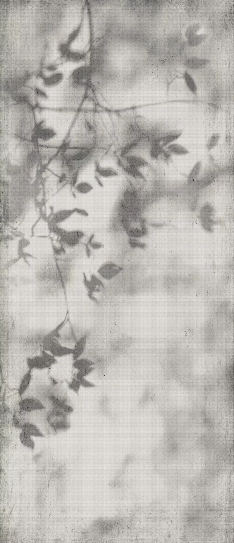 120X280 · Naturale