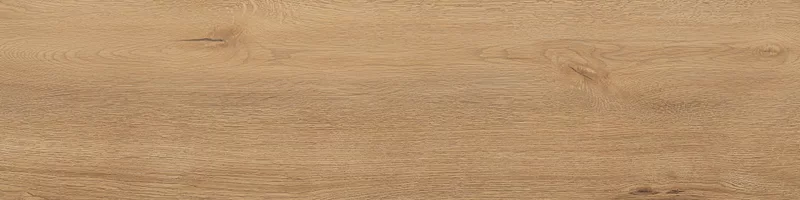 FOUR SEASONS HONEY 30X120_10