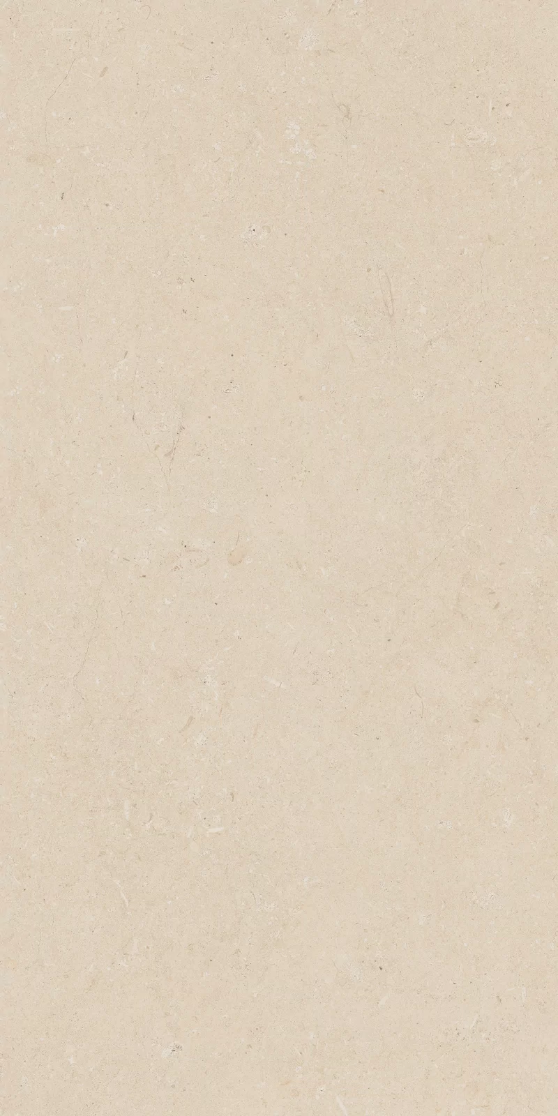 OUT.20 POETRY STONE TRANI BEIGE 60x120_06
