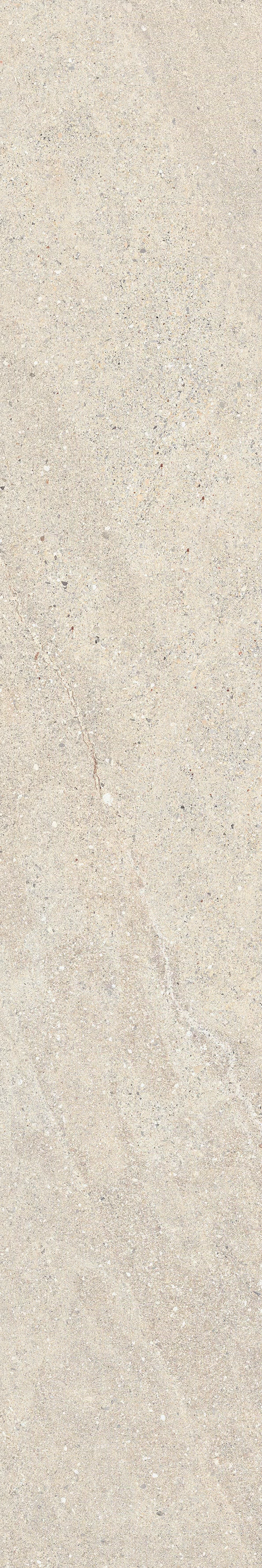 ROCKIN DESERT 20X120_21