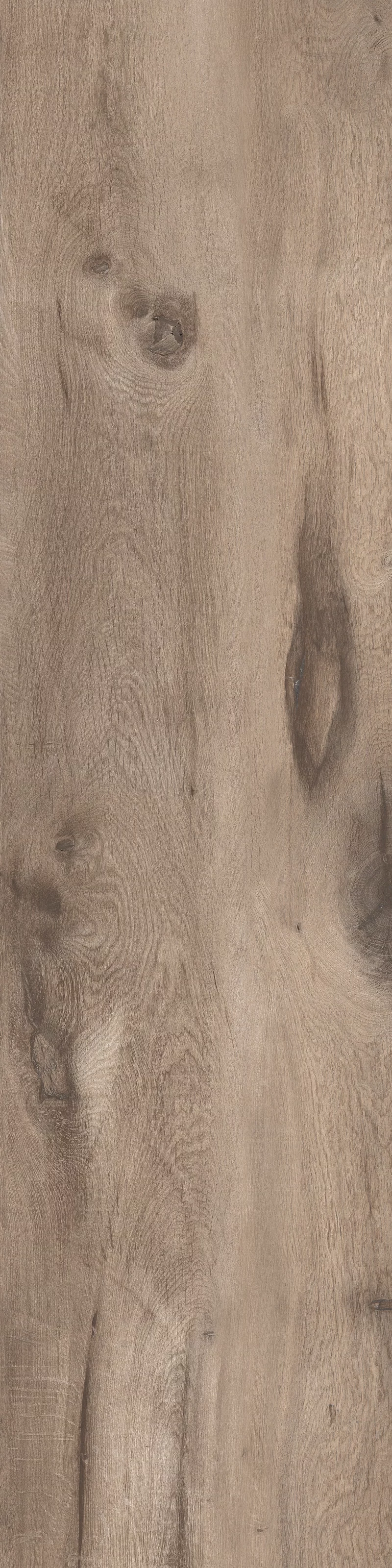 WOODLAND SAND 30X120_11