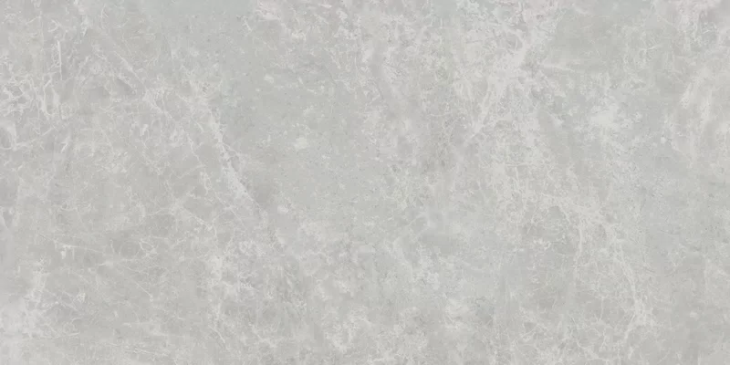 ERA DELICATE ASH 30X60_11