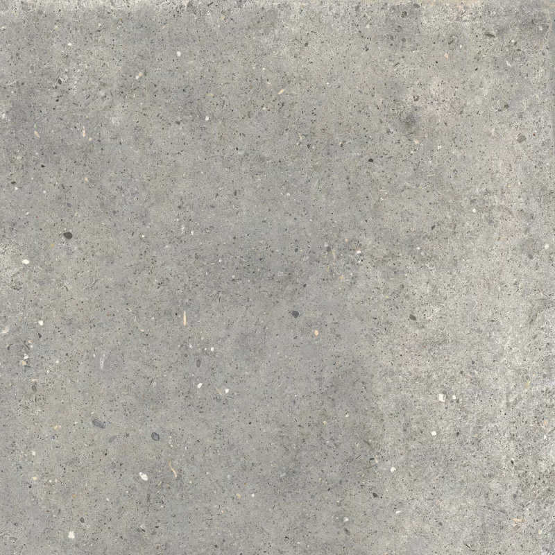 ANIMA GRIGIO 60X60_03