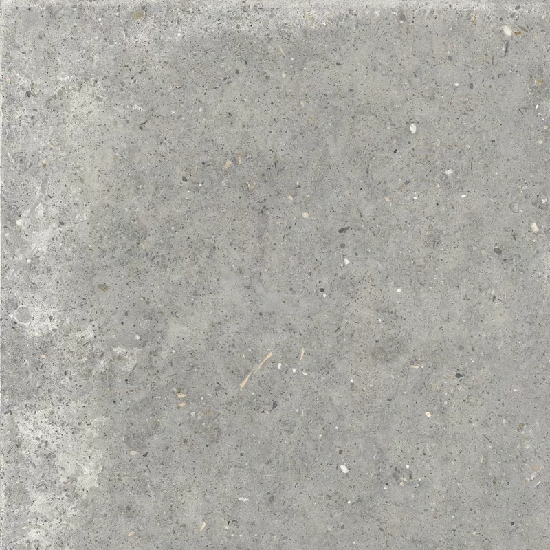 ANIMA GRIGIO 60X60_04