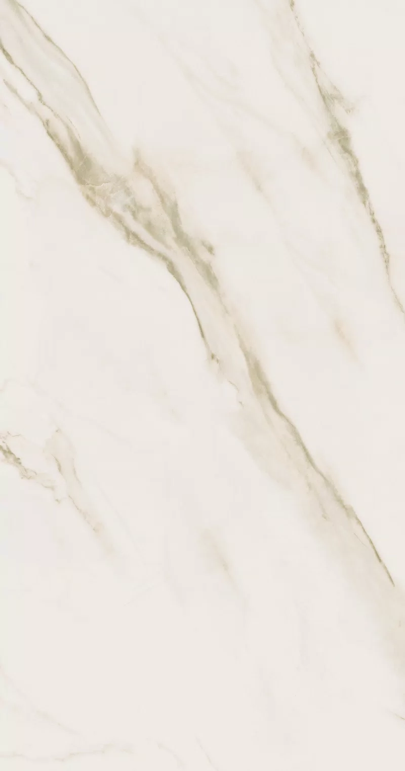 SENSI UP CALACATTA GOLD 60X120 _8