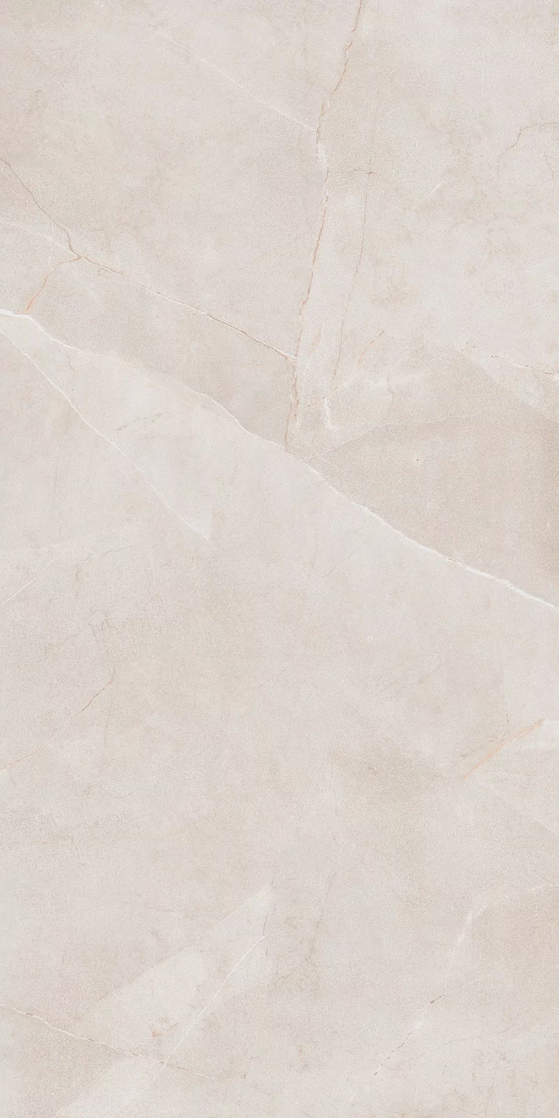WHITE 60X120_18