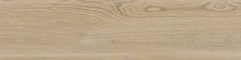 OUT.20 POETRY WOOD GOLD 30X120_16