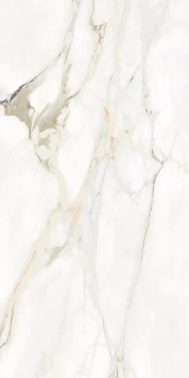 LA MARMOTECA_CALACATTA ELEGANCE_60X120_13