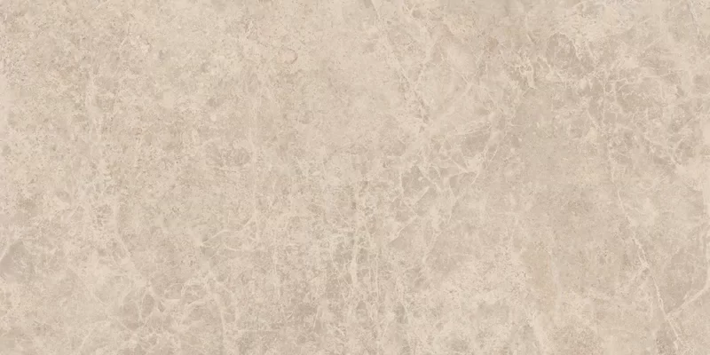 ERA DELICATE TAUPE 60X120_05