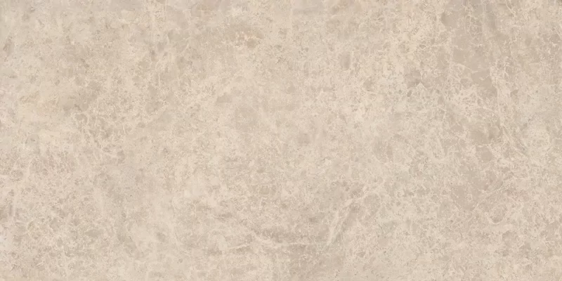 ERA DELICATE TAUPE 60X120_11