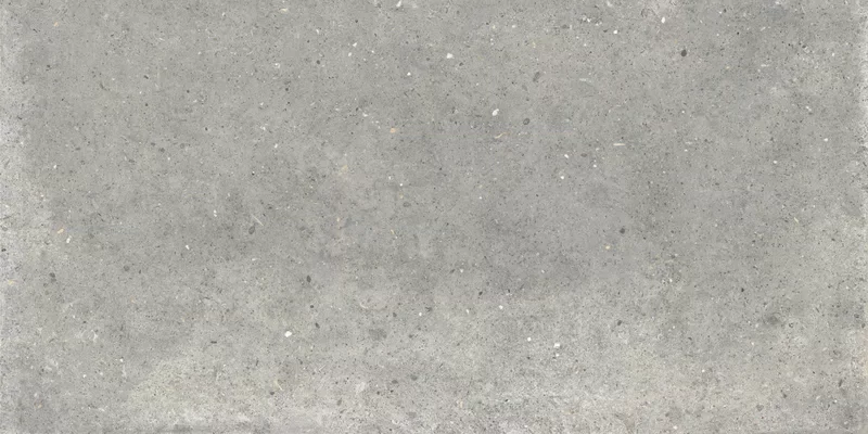 ANIMA GRIGIO 60X120_02