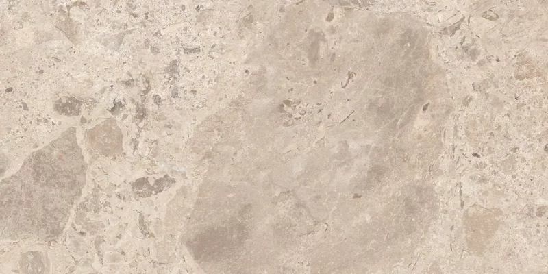 ERA BLOOMING TAUPE 60X120_09