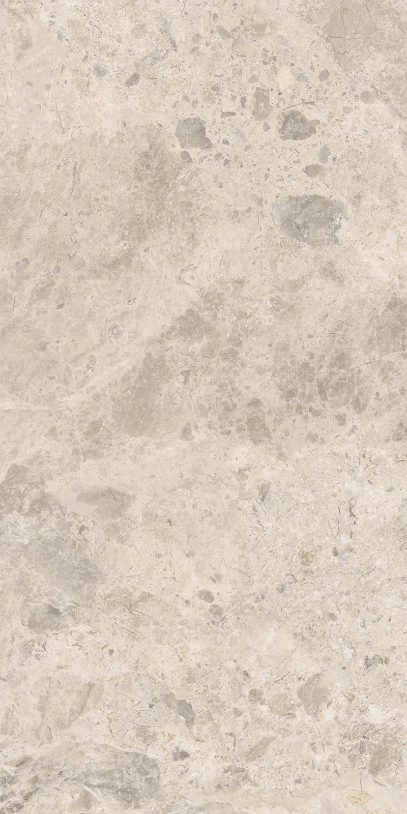OUT.20 ERA BLOOMING BEIGE 60X120 _01