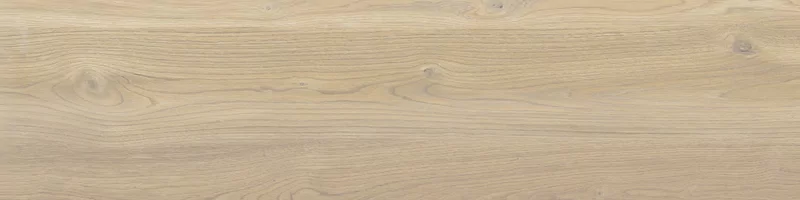 OUT.20 POETRY WOOD GOLD 30X120_08