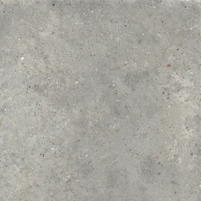ANIMA GRIGIO 60X60_07