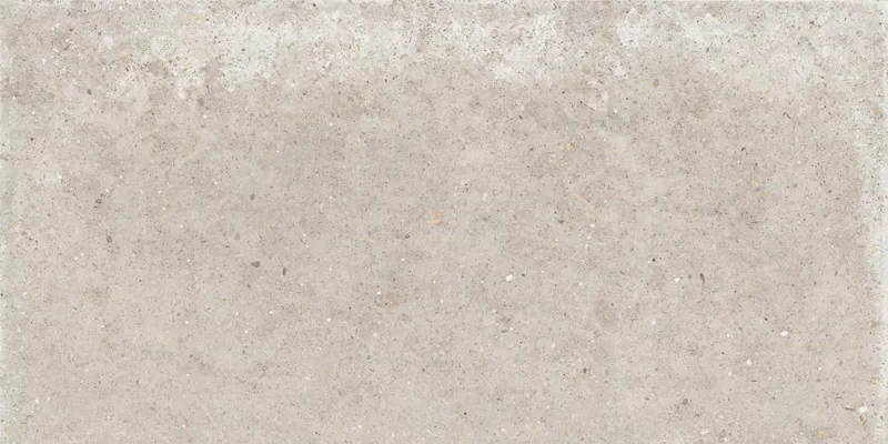 ANIMA BEIGE 60X120 R11_20 MM_01