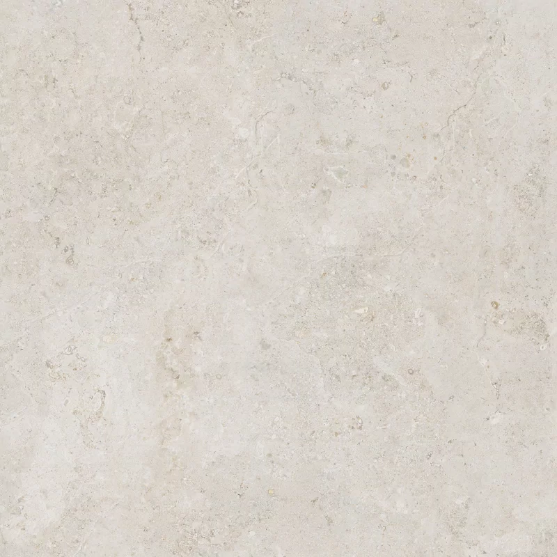 OROSEI BONE 60x60_03