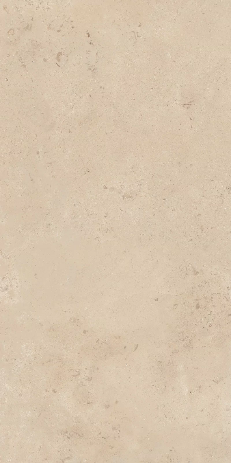 OUT.20 CAMARGUE BEIGE 60X120_04