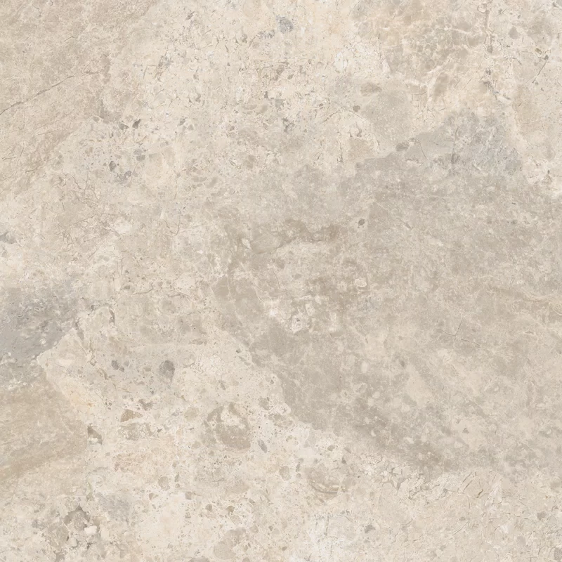 OUT.20 ERA BLOOMING BEIGE 80X80 _05