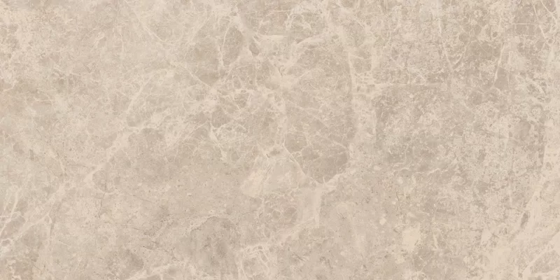 ERA DELICATE TAUPE 30X60_05
