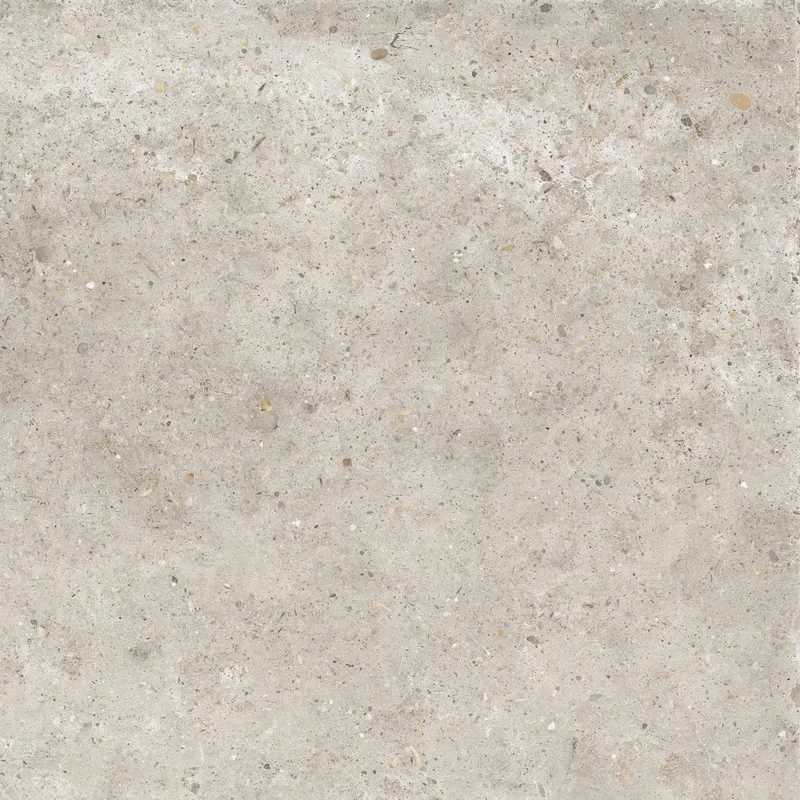 ANIMA BEIGE 60X60_03