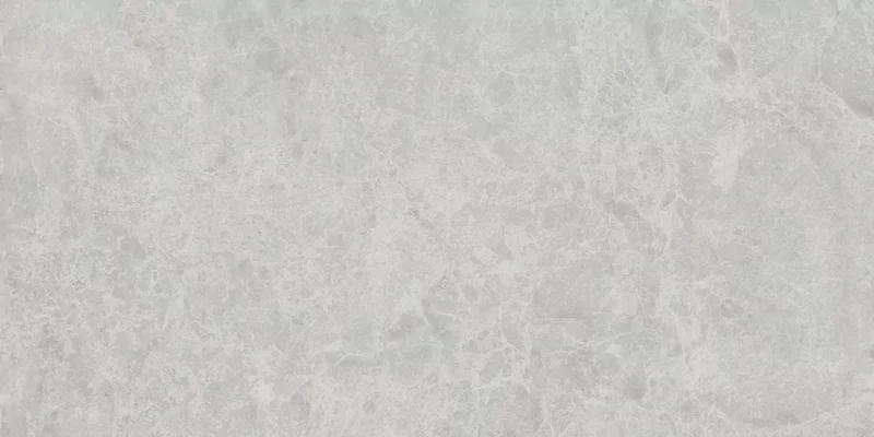 ERA DELICATE ASH 60X120_07