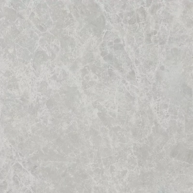 ERA DELICATE ASH 60X60_11