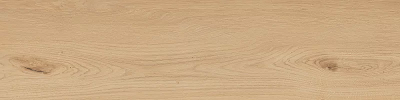FOUR SEASONS HONEY 30X120_07