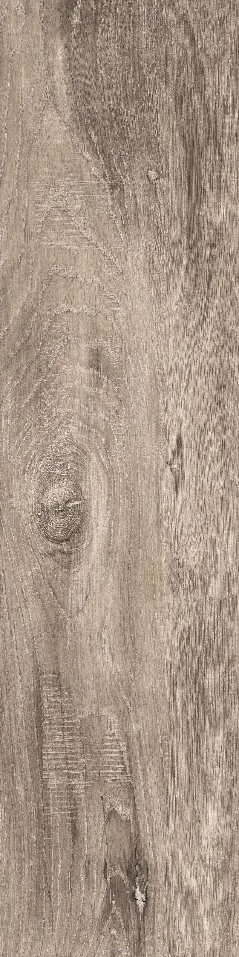 WOODLAND SAND 30X120_09