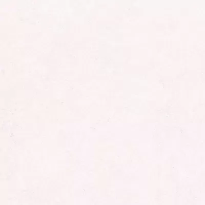 Plein Air La Geoteca Limestone tile by Gardenia&Ariana in white, R11 finish, 80x80, 20 mm thickness.