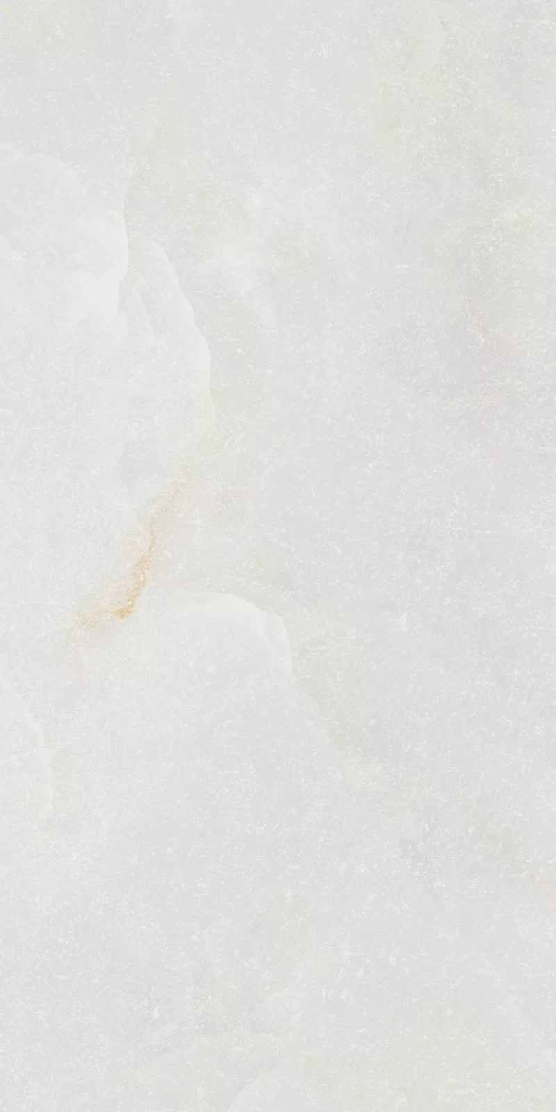 ETEREA ICE RAW 60x120 NAT_15